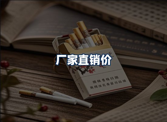 专业团队办公环境